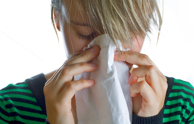 Virus Flu Burung Meluas, Pemusnahan Dinilai Tak Efektif