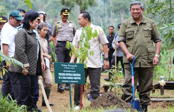 SBY Tanam Pohon di Hutan Sahabat Green