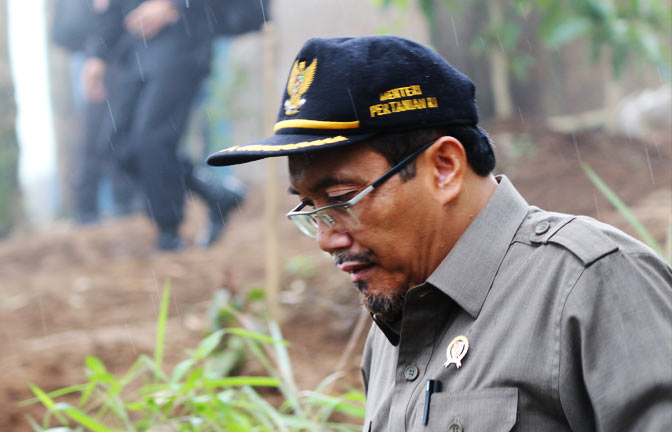 Kementan: Rp 221 M untuk Kompensasi Peternak Itik