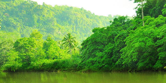 Jangan Rusak Hutan Kalimantan Utara