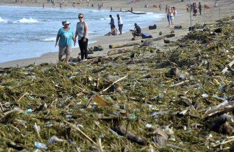 Pantai Kuta Dipenuhi Sampah Batang Pohon