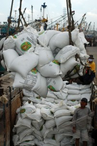 Petani Rembang Dibatasi Beli Pupuk Urea