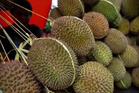 Setelah Mangga, Pemalang Kini Musim Buah Durian