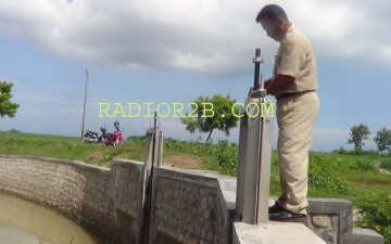 Petani di Rembang Was-Was Gagal Panen Akibat Kekeringan