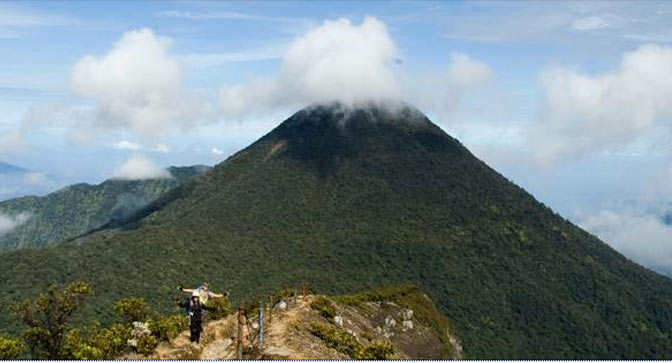 Menapaki Awan di Puncak Gunung Gede