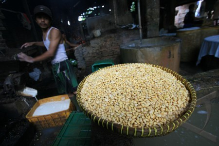 Pemerintah Sepakat HPP Kedelai Petani Rp 7,000 Per Kg