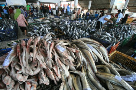 Walikota Pariaman Resmikan Tempat Pelelangan Ikan Karan Aur