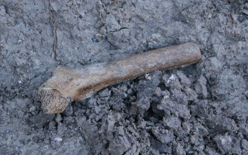 Rusak Situs Sejarah, Pemkab Rembang Kaji Amdal PLTU Sluke