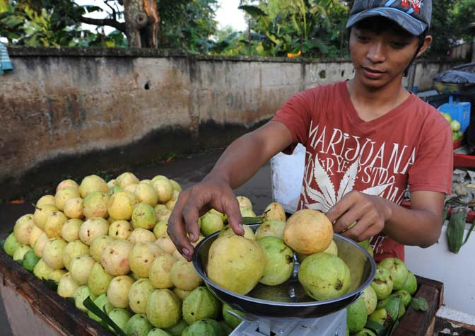 Minahasa Utara Belum Punya Pasar Buah