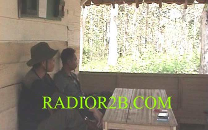 Pencuri Kayu Lukai Polisi Hutan Rembang