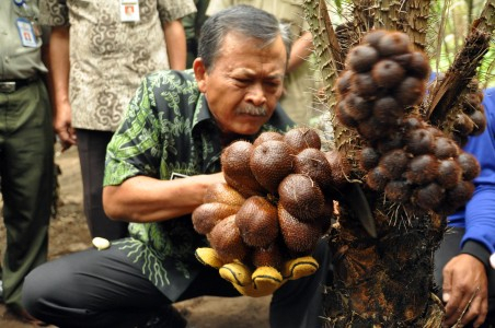 Gubernur Jateng Minta Kontraktor Tak Asal Bangun Jembatan
