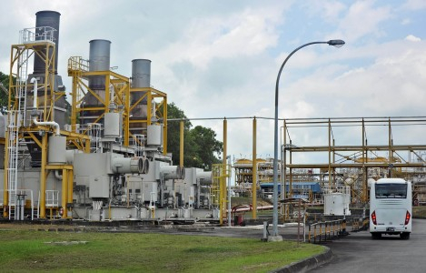Delta Mahakam Rusak Akibat Pertambangan