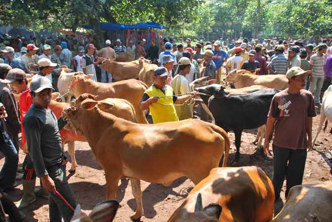 Impor Dikurangi, Harga Daging di Kalbar Bakal Naik