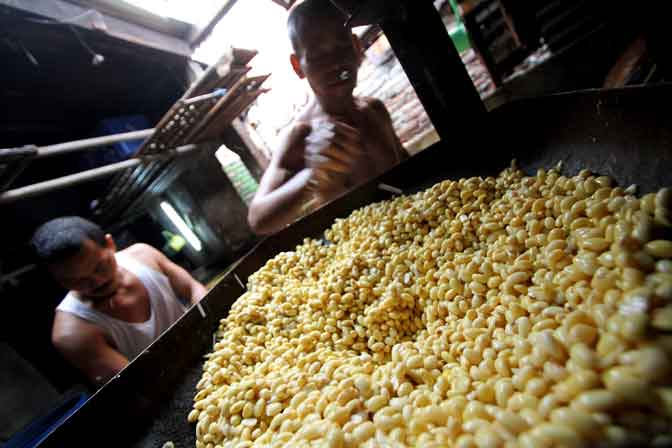 Mojokerto Targetkan Peningkatan Produksi Kedelai
