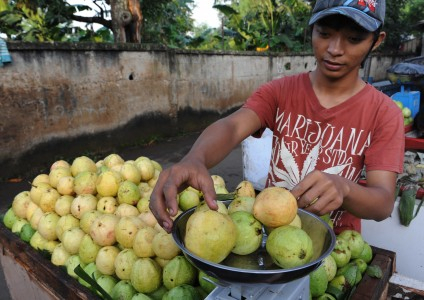 Pembatasan Impor Hortikultura Tidak Berpihak kepada Petani