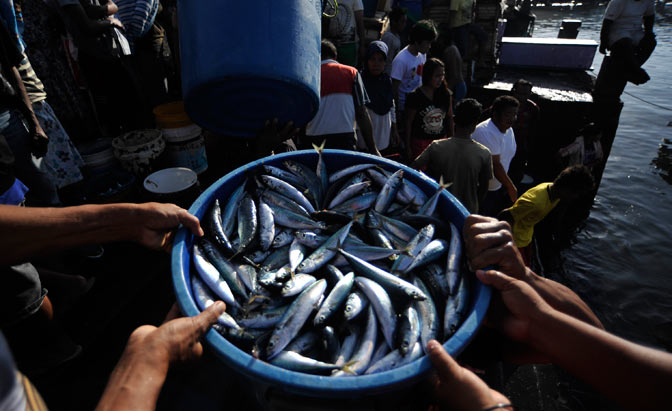 Gara-gara Ringgit Malaysia, Ikan di Nunukan Langka