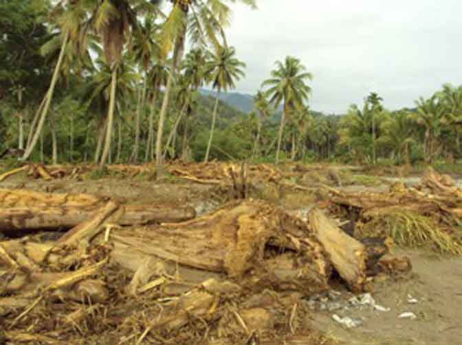 Banjir Mandailing Natal Akibat Perambahan Hutan di Hulu Sungai