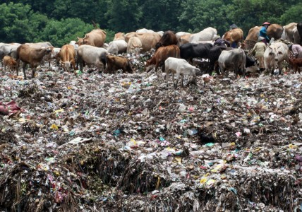 Sampah di Pasar Ciputat Tangsel Tidak Terangkut