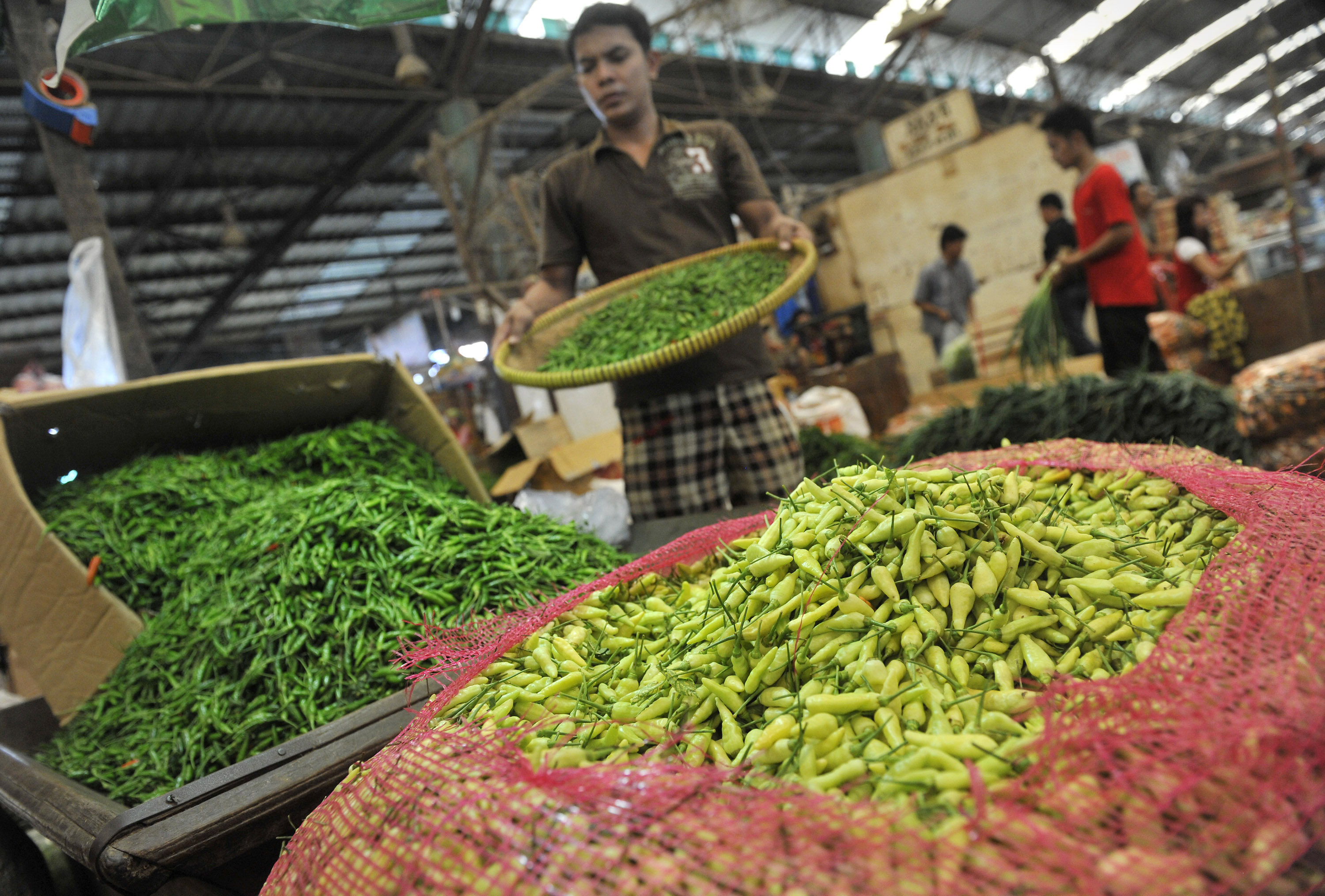 Harga Cabai Rawit di Jombang Mahal