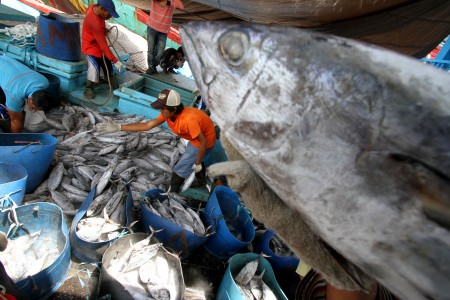Dianggap Tak Ramah Lingkungan, Produk Indonesia Ditolak LN