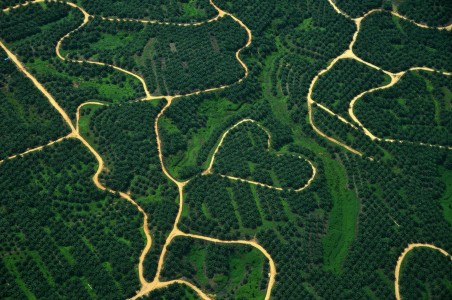 Pemerintah Protes Produk Indonesia Ditolak Lewat WTO