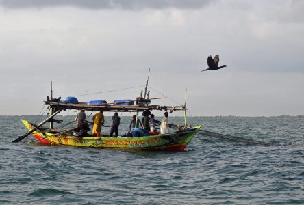 Banyak Kapal Ikan Beroperasi Tanpa Izin di Belawan