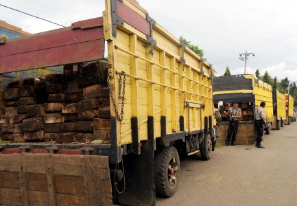 Inilah Alasannya Hutan Aceh Dikurangi