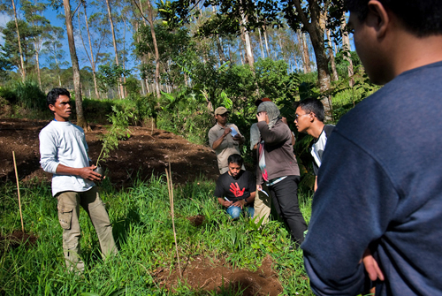 Impian di Batas Hutan: Rumah Petani dan Elang Jawa (III)