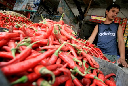 APPSI: Petani Perlu Bibit Unggul Cabai dari Pemerintah