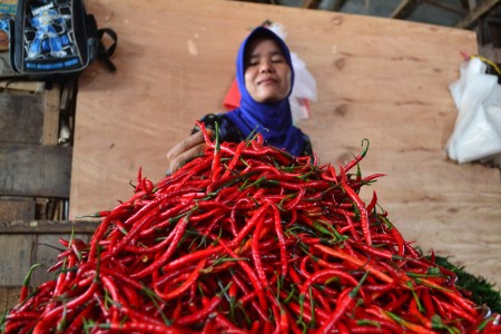 Harga Cabai Naik, Mentan Minta Masyarakat Tak Panik
