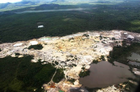 2 Juta Hektar Hutan Kalbar Jadi HTI