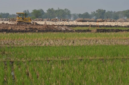 Ratusan Lahan Tidur di Serang Belum Dikelola