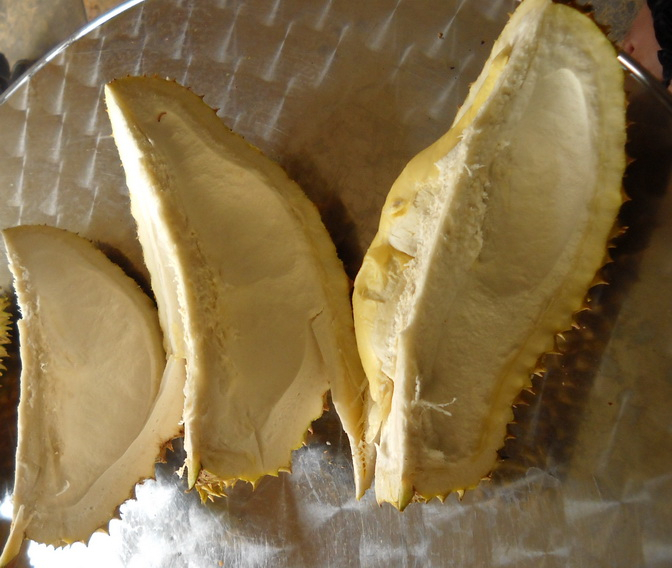 Sampah Kulit Durian Menumpuk Pantai Losari Ambon