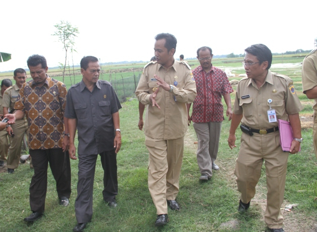 DPRD Jawa Tengah Janji Bantu Petani Bawang Brebes