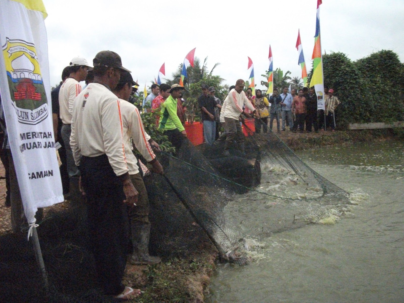 Pemerintah Targetkan Produksi Ikan Patin 1,1 Juta Ton