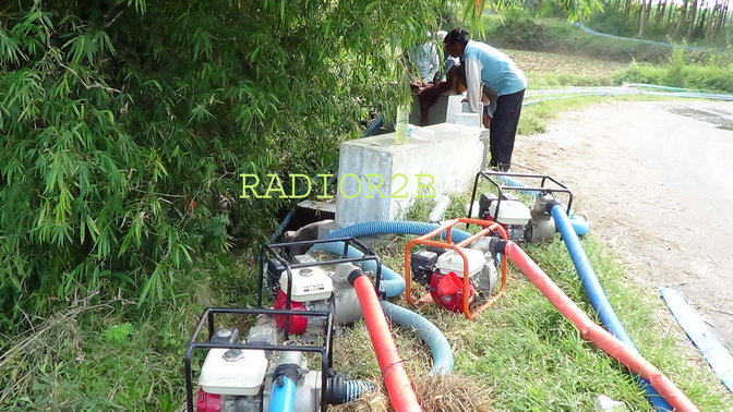 Padi Terancam Puso, Petani Rembang Rebutan Air Sungai