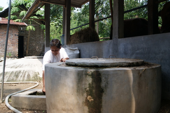 Masak untuk 60 Anak, Cukup dengan Kotoran Sapi