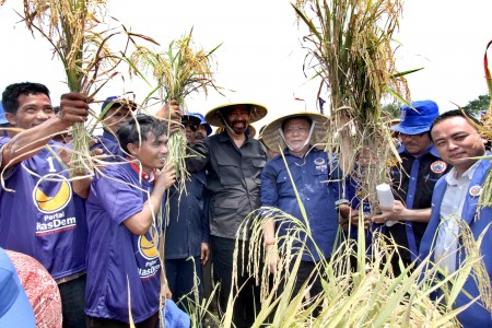 APPSI: Panen Raya Tak Akan Membuat Harga Komoditi Turun