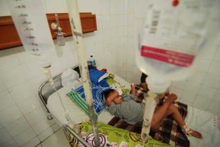 Belasan Orang Terserang DBD di Kulonprogo Yogyakarta