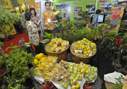 Petani Apel Malang Tak Kuat Penuhi Permintaan Pasar