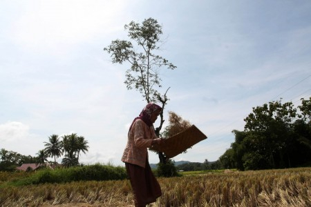 Tanah Terlantar di NTB Capai 25 Ribu Hektar