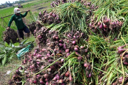 KPPU: 10 Perusahaan Terlibat Kartel Bawang