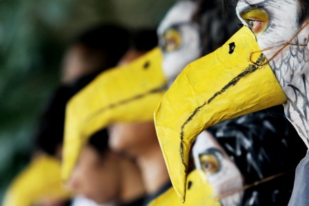 LAPS Minta Komunitas Pencinta Elang Dibubarkan
