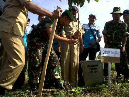 Tiap 2 Minggu Sekali, Pemda Banda Aceh Tanam Pohon