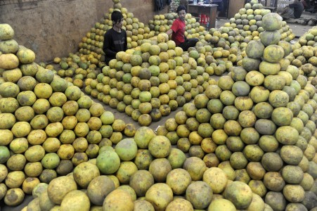 Tinggalkan Padi, Petani di Banyuwangi Beralih Tanam Buah-Buahan