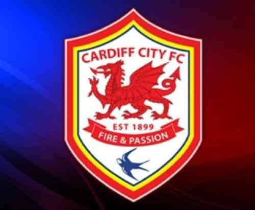 Cardiff Ingin Bawa Kuyt Kembali ke Inggris