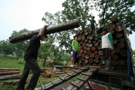 Polda Kalbar Sita Kayu Setara 700-an Juta