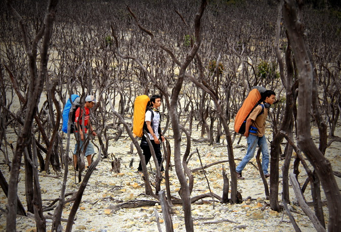 Wisata Gunung Papandayan Ditutup!