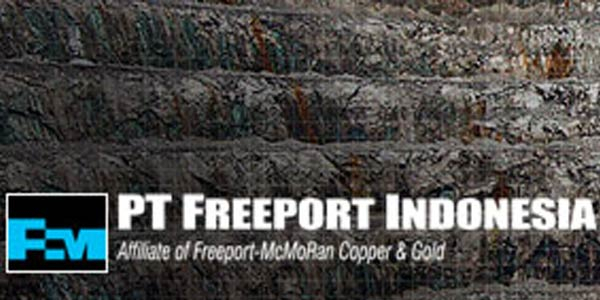 PT Freeport Sudah Laporkan Insiden Longsor ke Kementerian ESDM