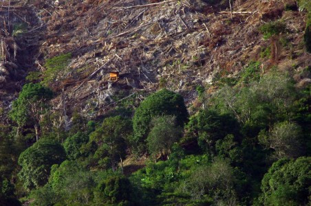WALHI: Moratorium Hutan dan Lahan Gambut di Kalteng Gagal